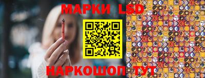 spice Краснокаменск